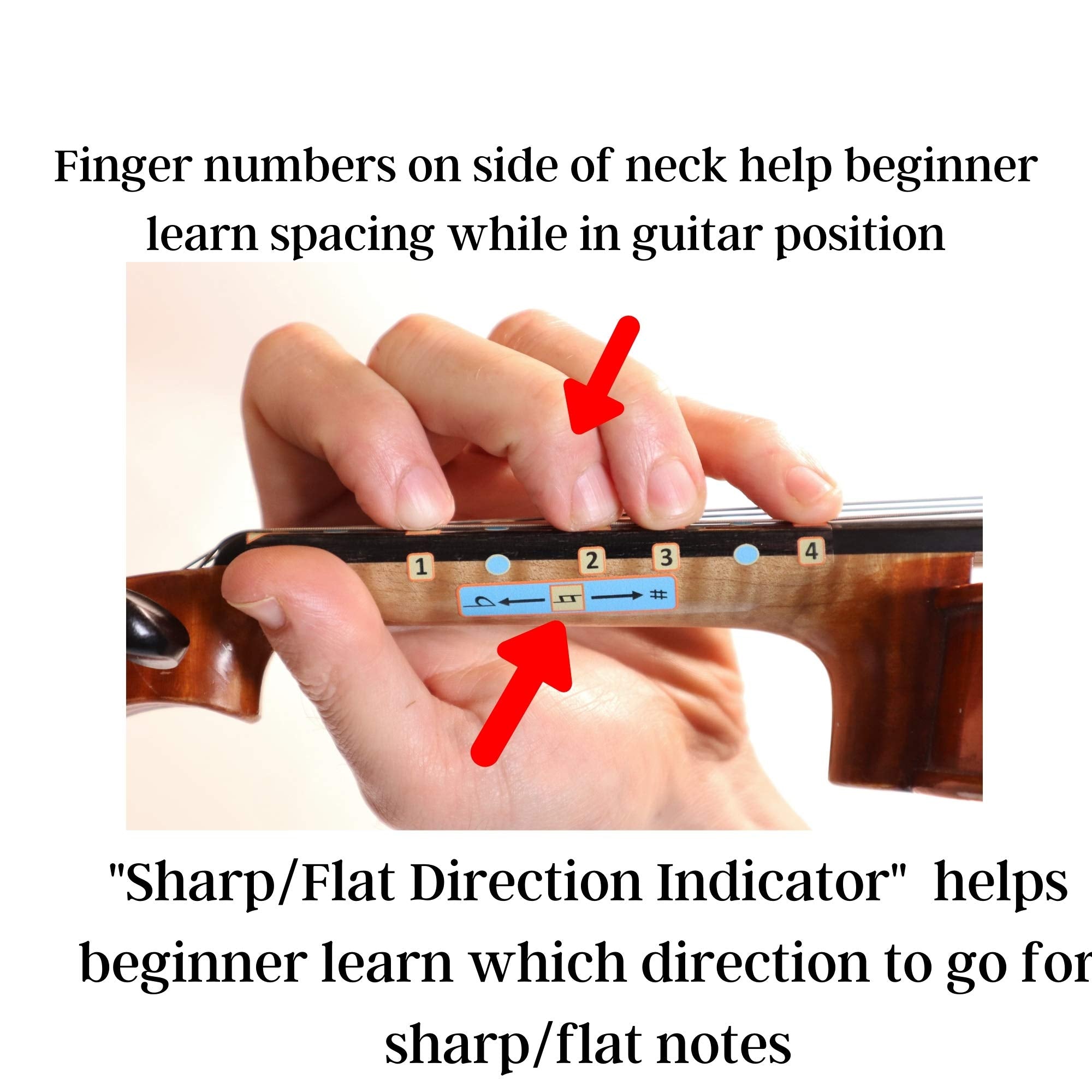 Fantastic Finger Guide for Violins Adult Beginner | Stringed Musical Instruments | Fingerboard and Fretboard Stickers for Learning All Notes | Play or Fiddle, 4/4-Size