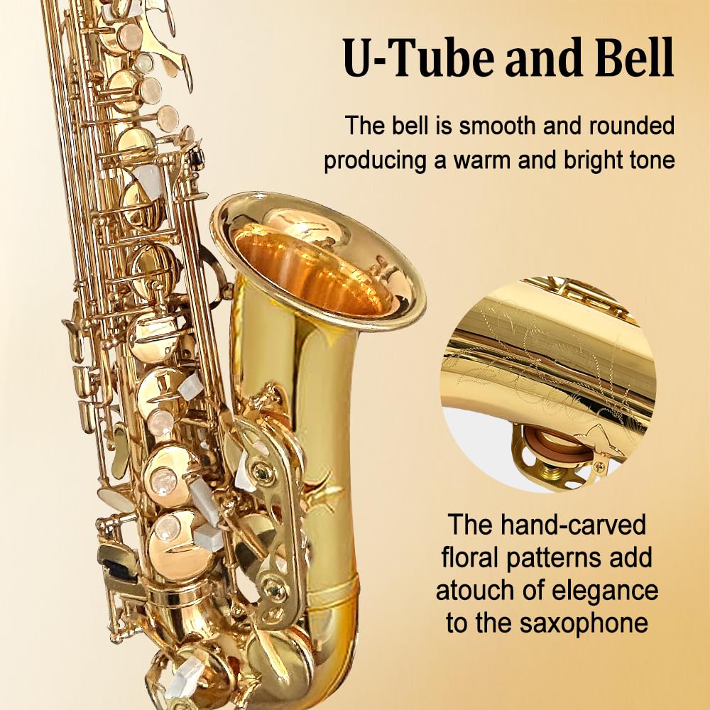 Yinfente Eb Alto Saxophone For Beginners Adult,Saxophone Student,E Flat Alto Sax Full Kit With Reeds,Pads Cushions,Hard Carrying Case,Cleaning Cloth & Rod,Mouthpiece,Gloves,Neck Strap Gold