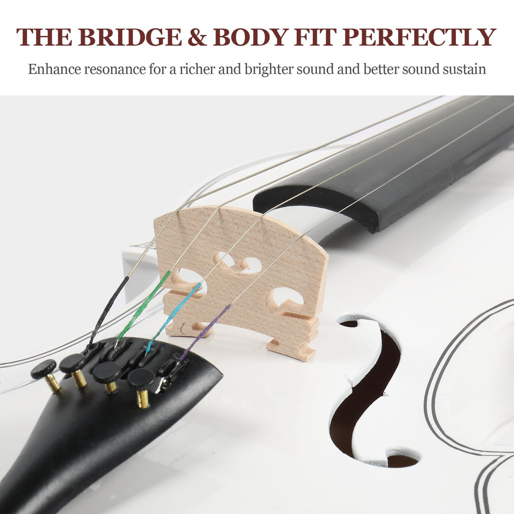 Ktaxon Violin for Beginners Students, Acoustic Violins 4/4, Full Size Fiddle Kit with Case, Bow, Rosin, Adult Teens Learners Age 11+ (Natural)