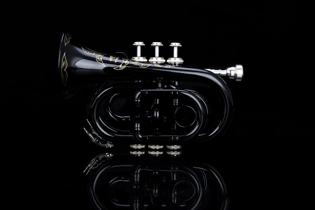 Glory Bb Pocket Trumpet with Case,Cleaning Cloth, Gloves, Black