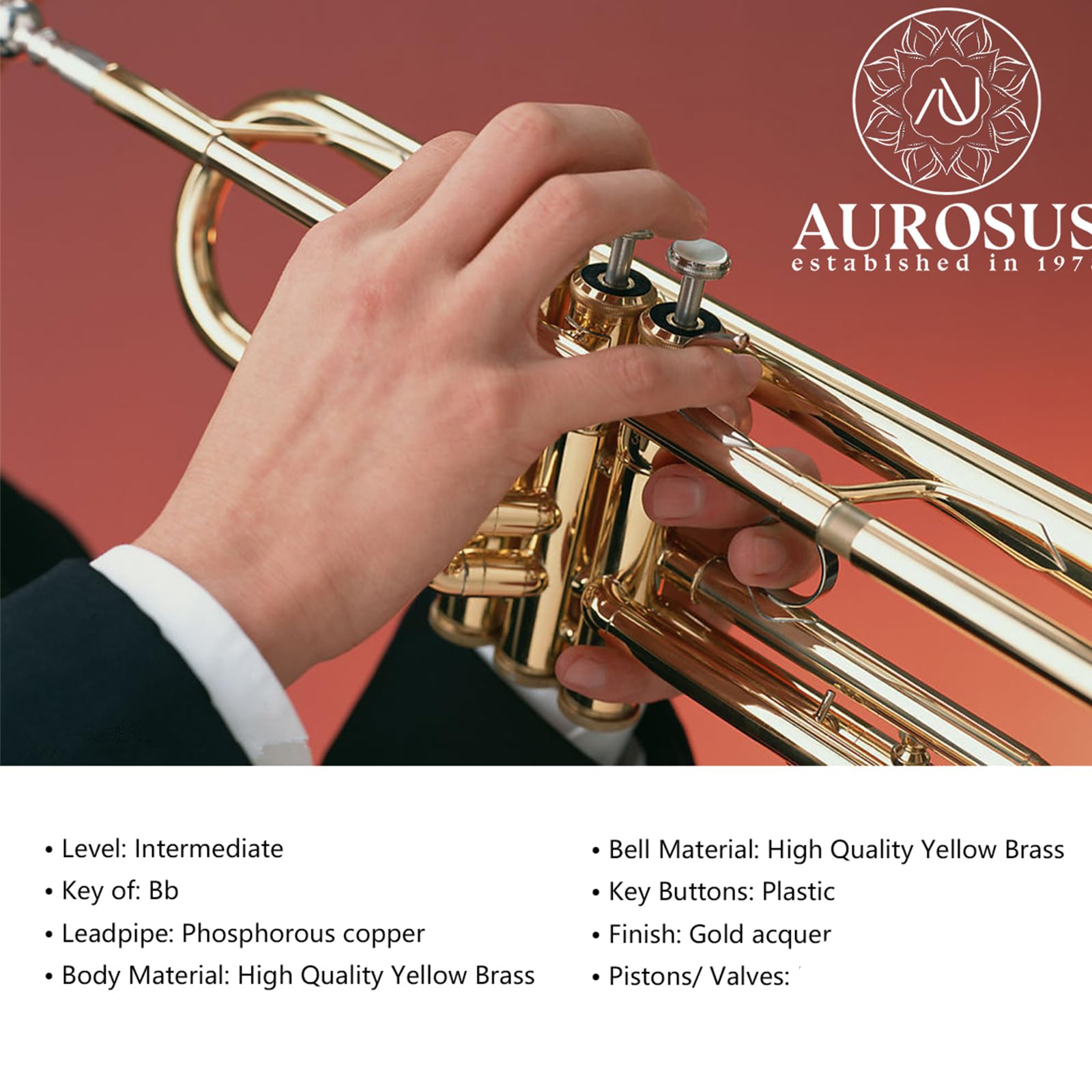 Bb trumpets red gold brass leadpipe mouthpipe advanced student professional trumpet Musical Instruments For Beginner Adults (710 gold brass)