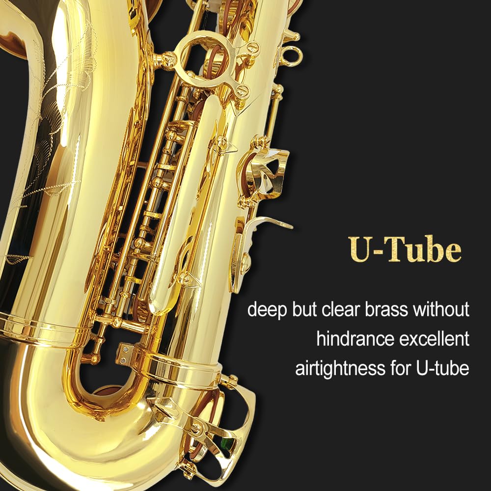 Eb Alto Saxophone Gold Lacquer Brass E-Flat Student Kit with Hard Carrying Case - Includes Mouthpiece, Reeds, Neck Strap and Gloves for School Band