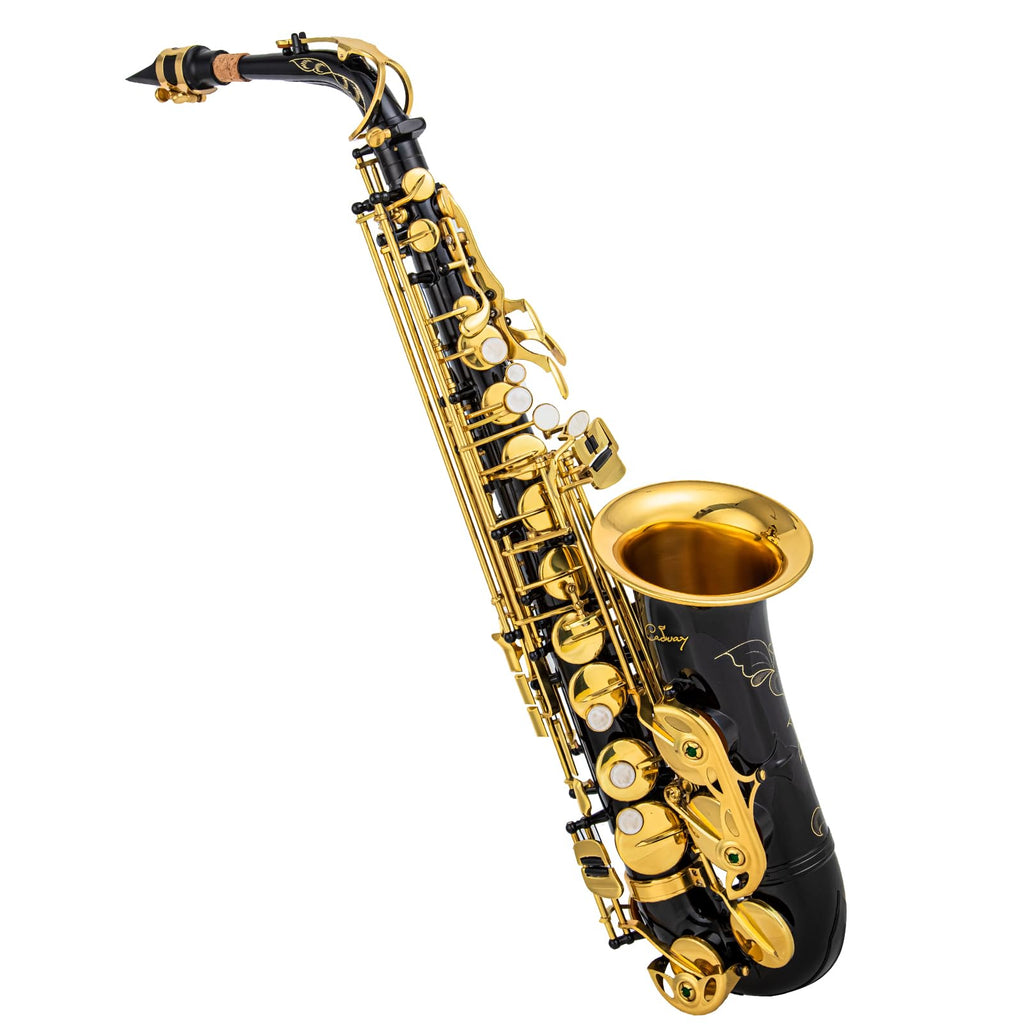 Alto Saxophone Eb beginner Saxophone includes brush canvas suitcase glove whistle piece cork plaster wipe cloth neck strap and other accessories (Gold)