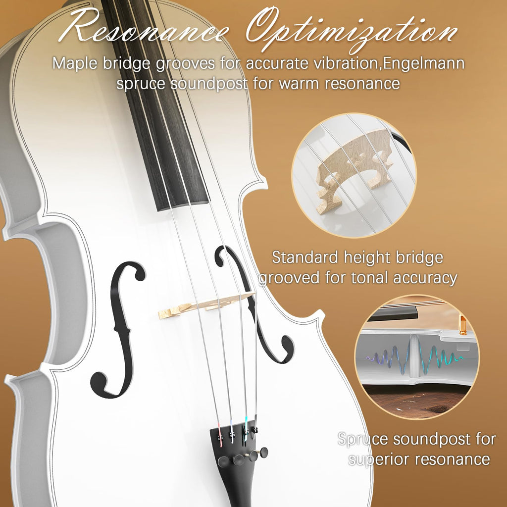 Cello 4/4 Kit, Full Size Cello for Adults, Students, Beginners, Complete Acoustic Cello Instrument Set with Portable Bag, Bow, Rosin, Black