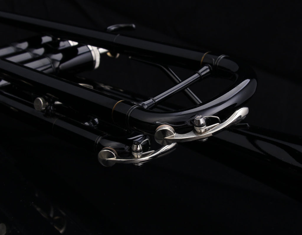Glory Bb Trumpet - Trumpets for Beginner or Advanced Student with Case, pair of gloves-Gold