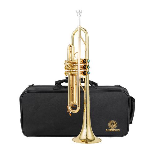 Bb trumpets red gold brass leadpipe mouthpipe advanced student professional trumpet Musical Instruments For Beginner Adults (710 gold brass)