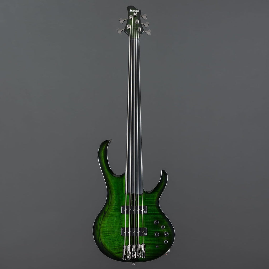 Ibanez Steve Di Giorgio SDGB1 Signature 5-string Fretless Bass Guitar - Dark Moss Burst