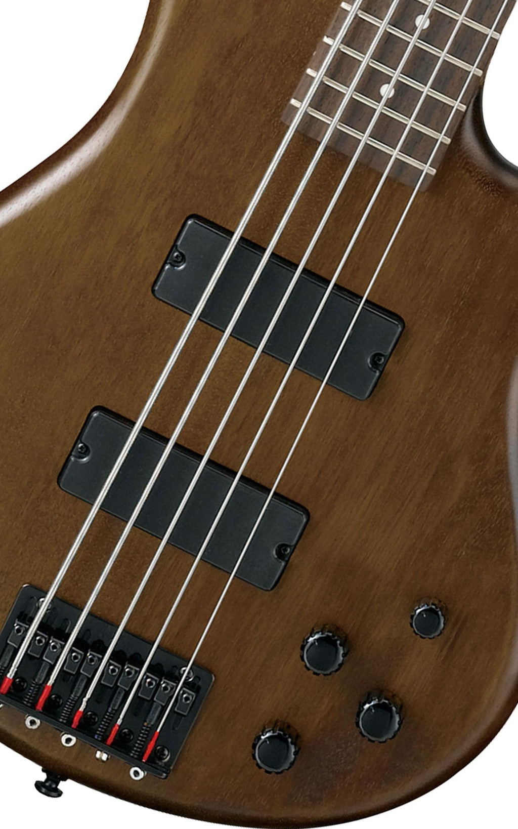 Ibanez GSR205B SR Gio 5-String Bass Guitar - Walnut Flat Bundle with Gig Bag, Tuner, Strap, Cable, Austin Bazaar Instructional DVD, and Polishing Cloth