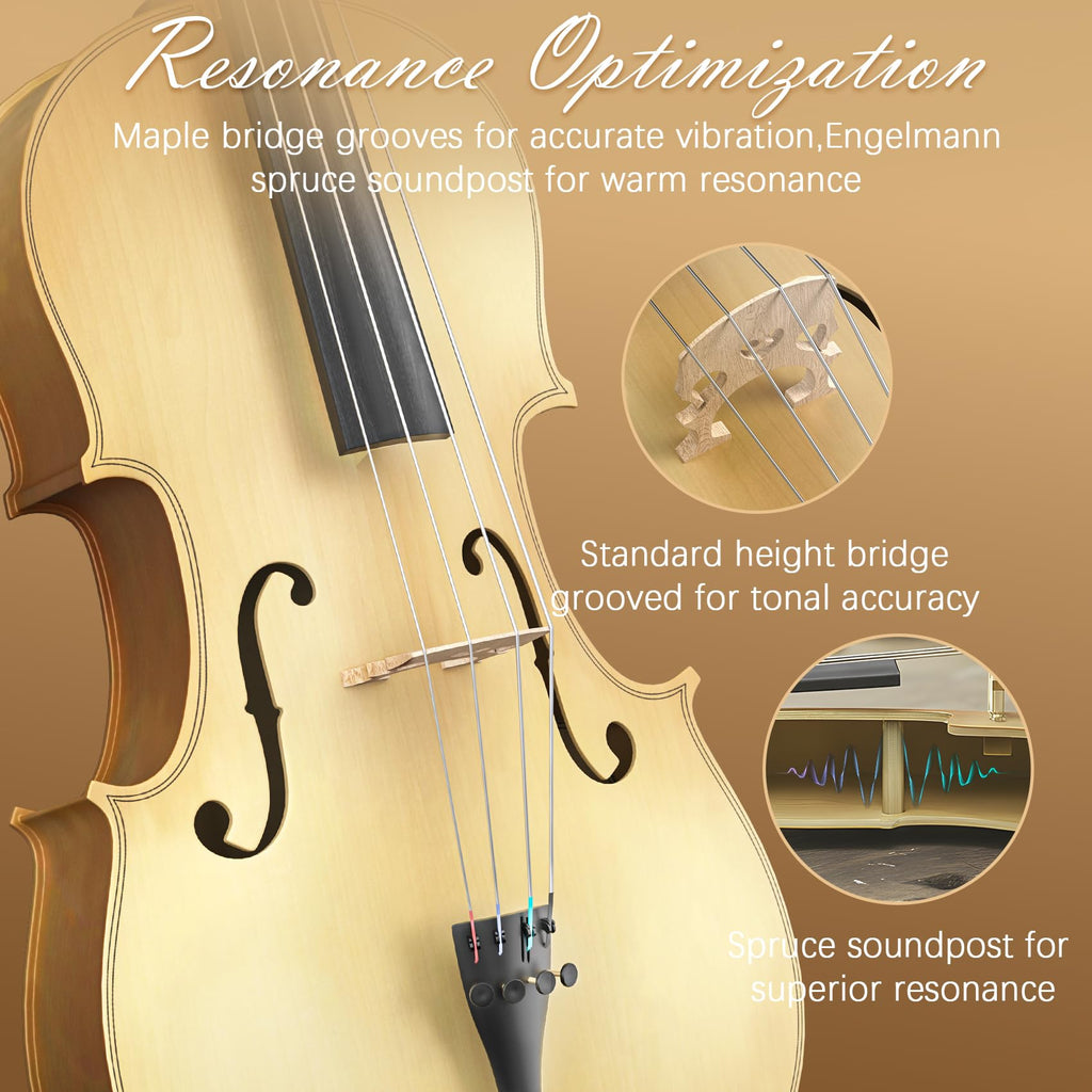 Full Size Cello Kit, Acoustic Cello Instrument for Adults,Beginners,Students,Complete Cello 4/4 Set with Portable Bag, Bow, Rosin (Black)