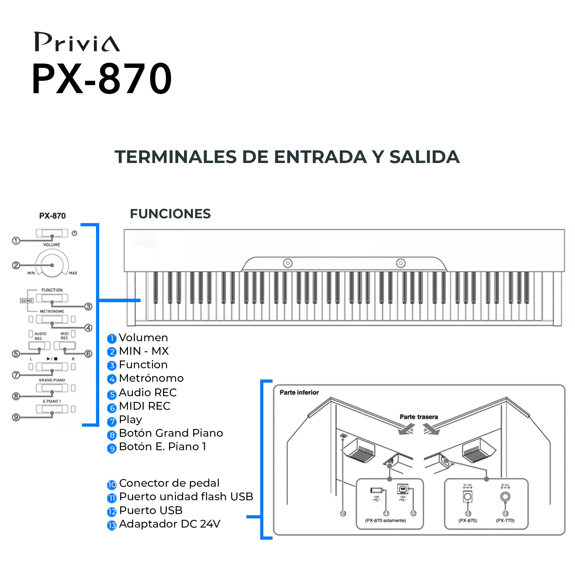 Casio PX-870 Privia Digital Piano - Black Bundle with Furniture Bench, Headphones, Instructional Book, Online Lessons, Instructional DVD, and Austin Bazaar Polishing Cloth