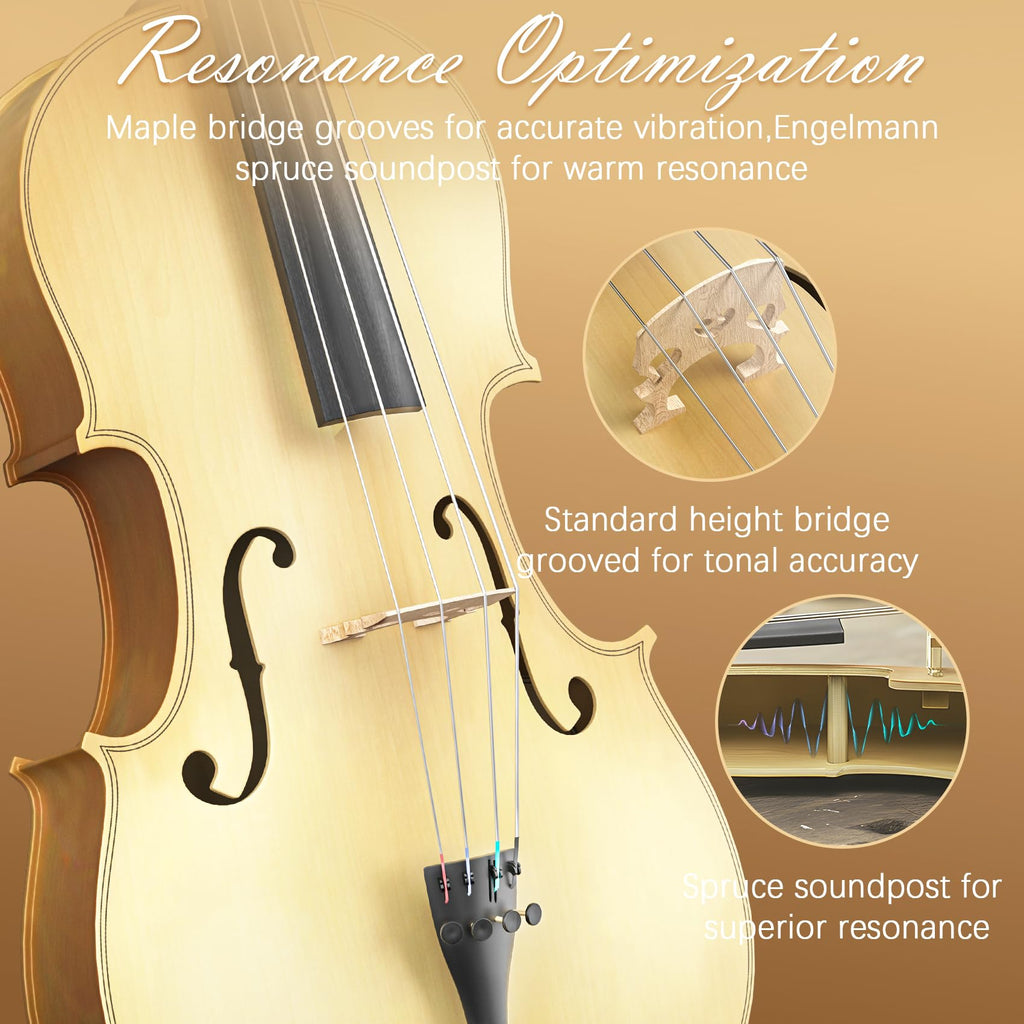 Cello 4/4 Kit, Full Size Cello for Adults, Students, Beginners, Complete Acoustic Cello Instrument Set with Portable Bag, Bow, Rosin, Black