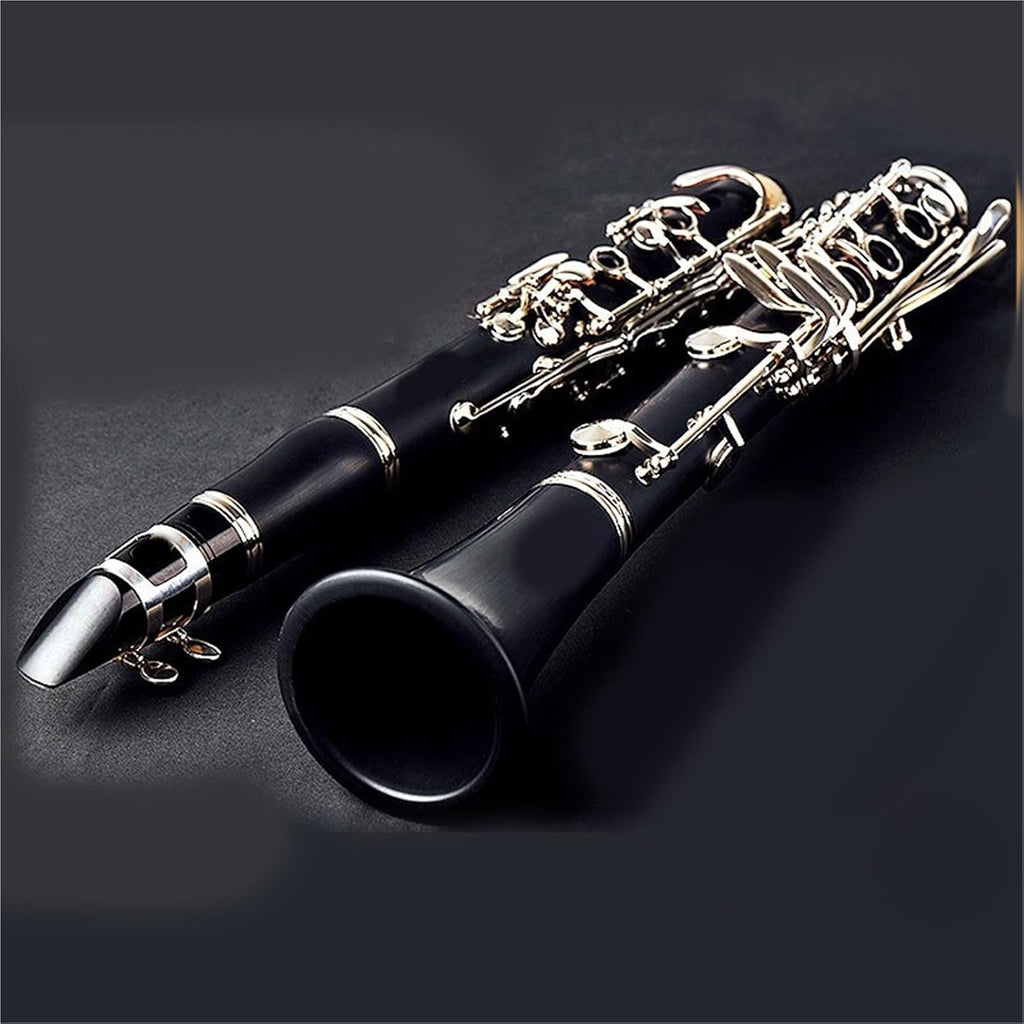Clarinet Bb Beginner Exam Playing Woodwind Instrument Clarinet