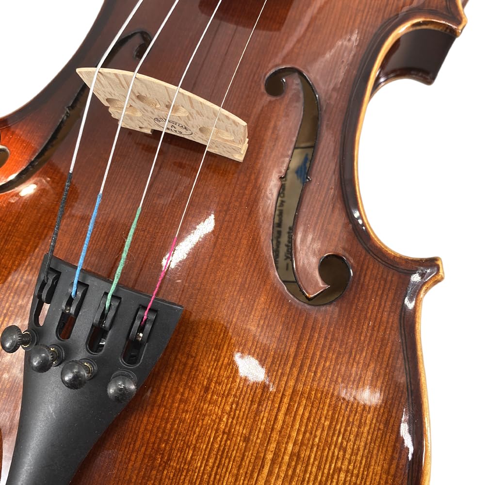 4/4 Violin for Beginners & Adults, Full Size Solid Wood Acoustic Violin with Flamed Back, Case, Bow,Shoulder Rest & Accessories Glossy Finish
