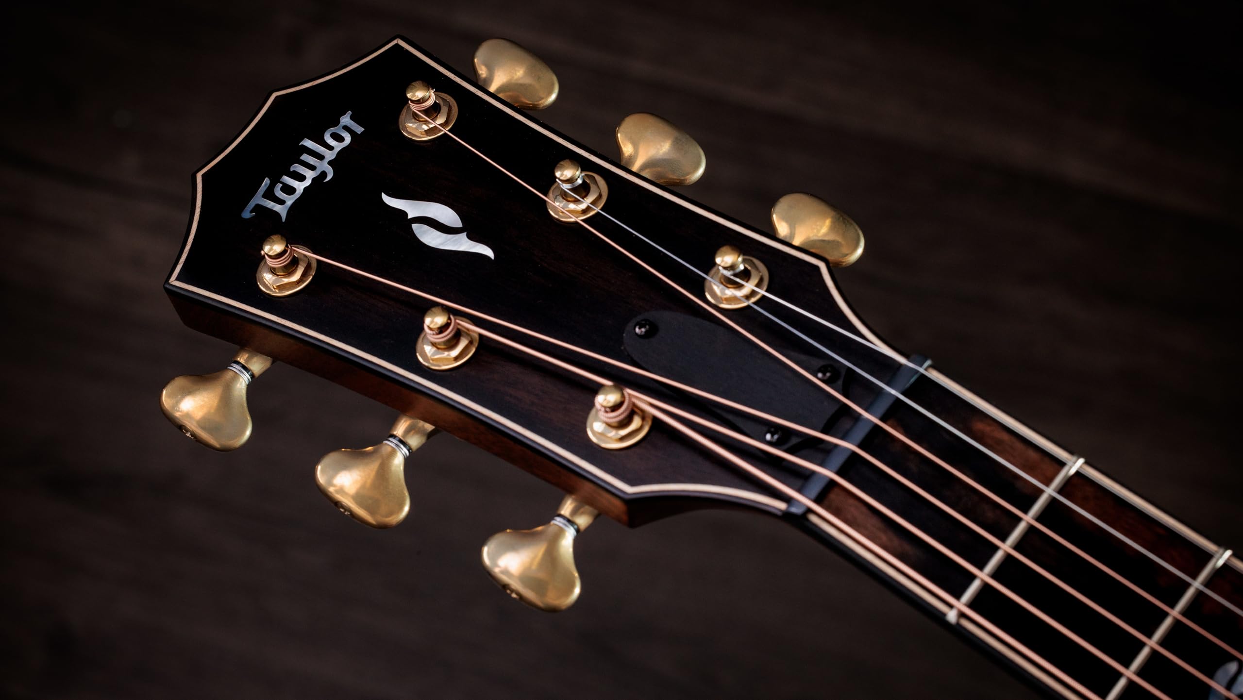 Taylor Next Generation Builder's Edition 814ce Indian Rosewood/Adirondack Spruce Grand Auditorium Acoustic-Electric Guitar with Hardshell Case