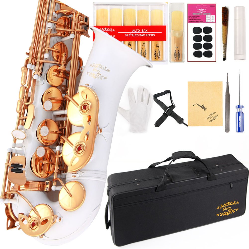 Glory Black Laquer E Flat Alto Saxophone with 11reeds,8 Pads cushions,case,carekit