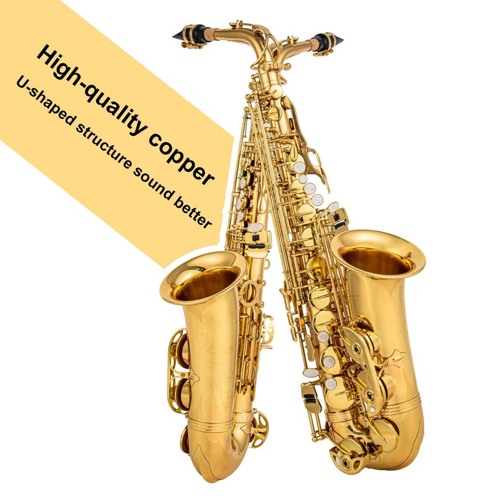 Alto Saxophone Eb beginner Saxophone includes brush canvas suitcase glove whistle piece cork plaster wipe cloth neck strap and other accessories (Gold)