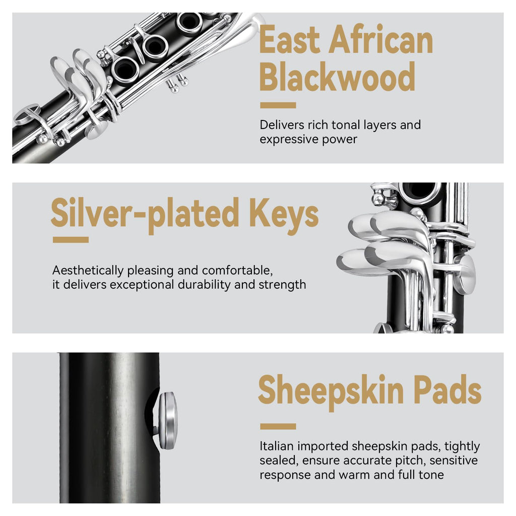ROWELL 18 Key Bb Clarinet with Eb/Ab Lever & African Blackwood Wood Body Professional Rich Tone for Intermediate Players & Students Includes Case, Mouthpiece, Reeds
