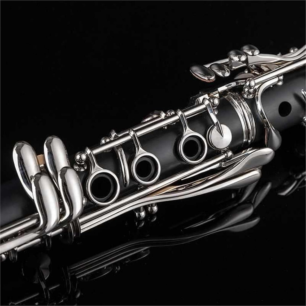 Clarinet Bb Beginner Exam Playing Woodwind Instrument Clarinet