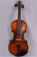 Cello Kit Violin 4 String Left Hand 4/4 Electric Acoustic Violin Spruce+Maple Free Case Bow
