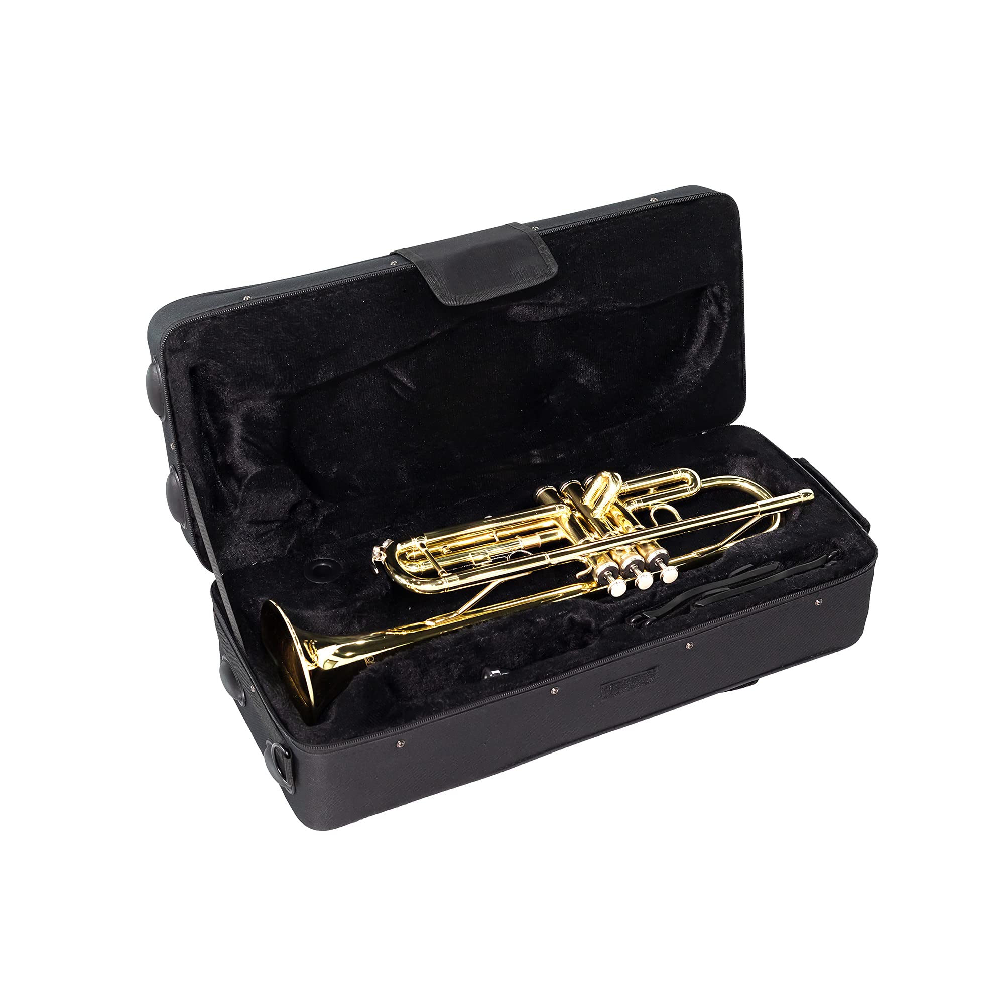 LeSage Bb Standard Trumpet Set for Beginner, Brass Student Trumpet with Carrying Case, Care Kit, Valve Oil, Cloth, 7C Mouthpiece & Gloves Silver