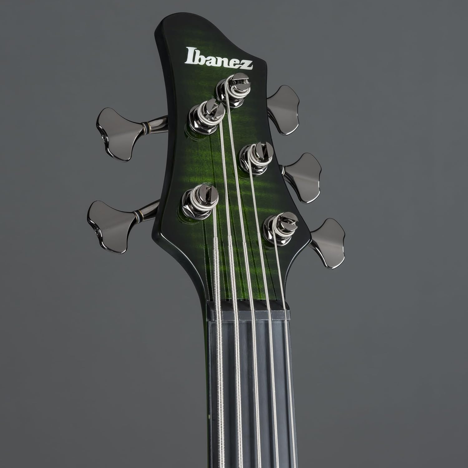 Ibanez Steve Di Giorgio SDGB1 Signature 5-string Fretless Bass Guitar - Dark Moss Burst