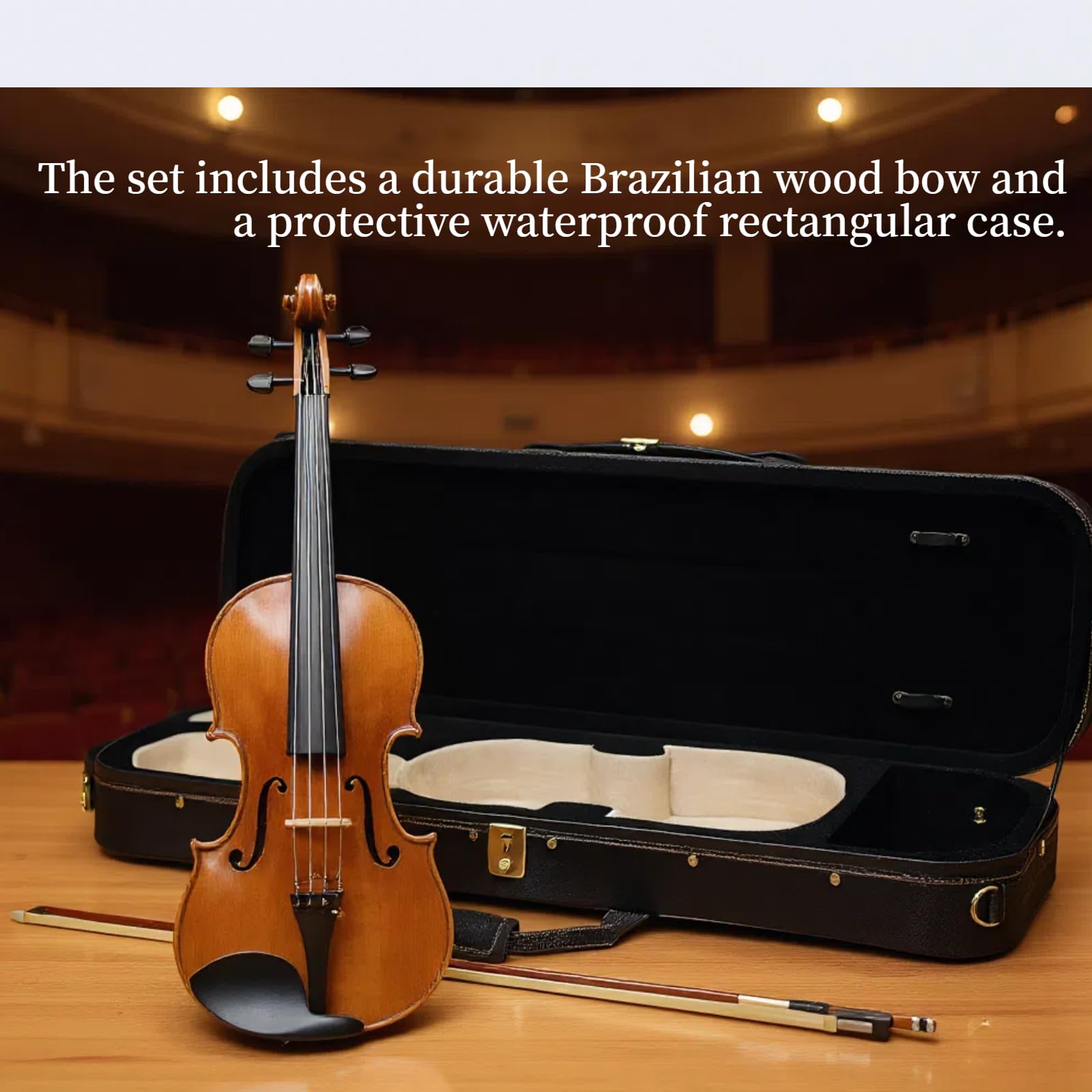 Master 4/4 Full-Size Violin | Hand-Varnished with 20+ Year Aged Italian Spruce & Bosnian Maple | Professional Orchestra Instrument for Professional soloists and session players (VIO1328)