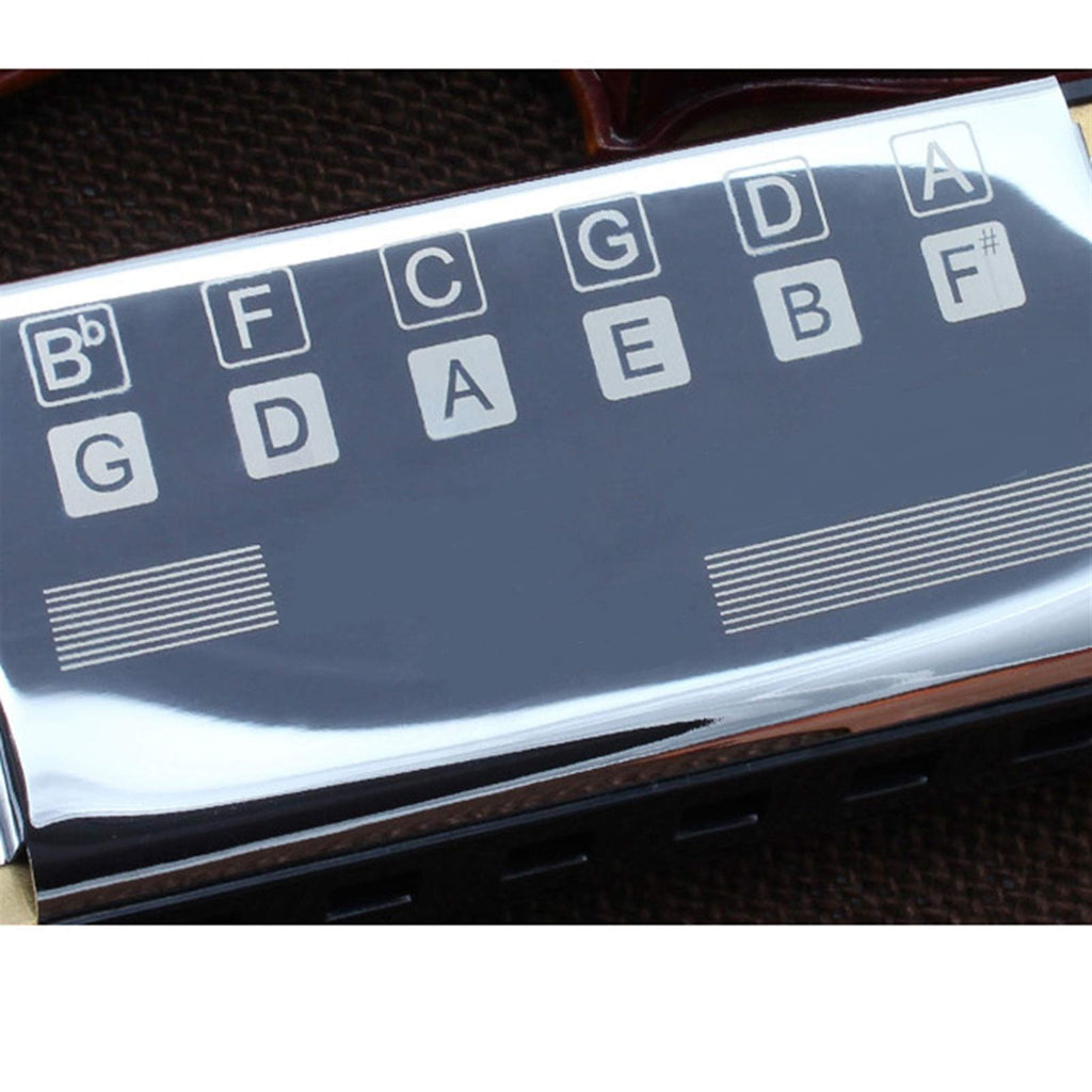 Bass Harmonica Pocket Ensemble Orchestral Harmonica 12 Holes Harp Mouth Organ Musical Instruments for Beginners