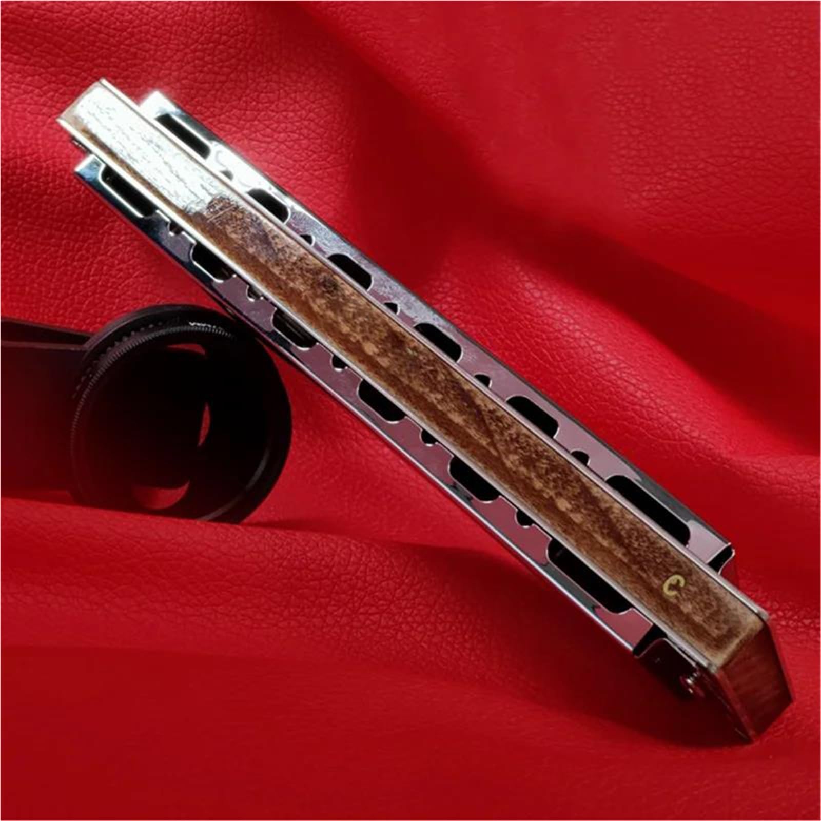 Professional Harmonica Harmonica Tremolo Nature 21 Holes Mouth Organ Prefessional Armonic Maple Wood Comb Musical Instrumentos(DB Tone)