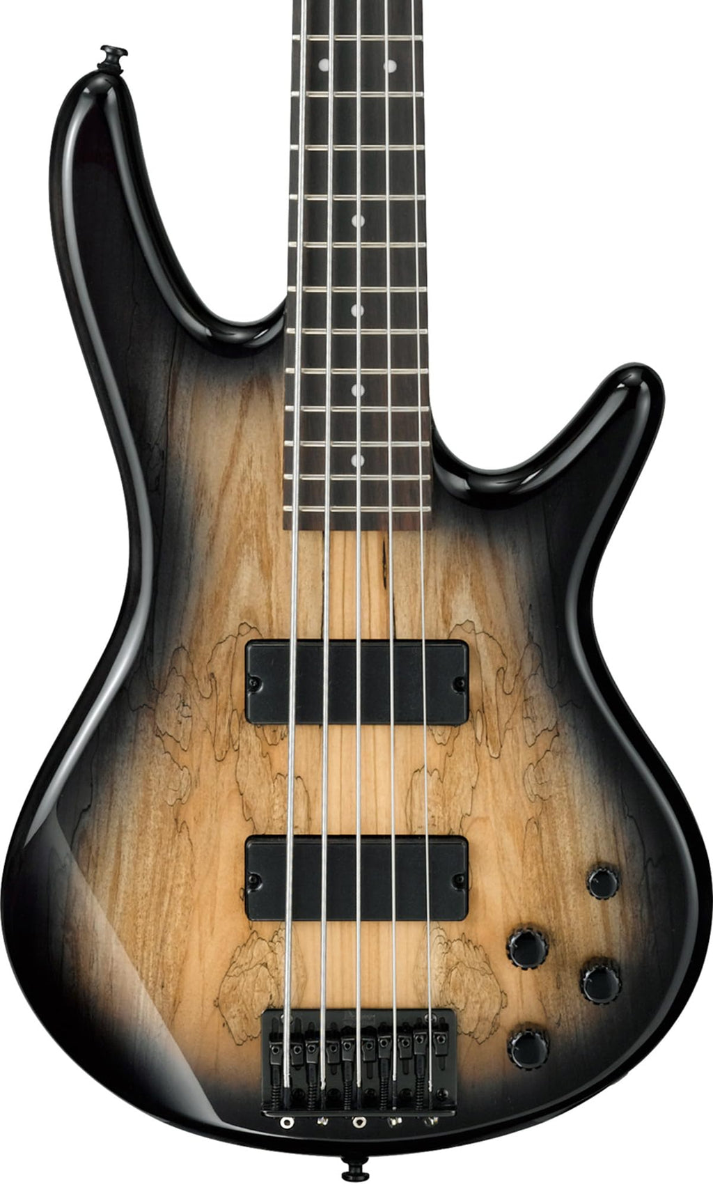 Ibanez GSR205B SR Gio 5-String Bass Guitar - Walnut Flat Bundle with Gig Bag, Tuner, Strap, Cable, Austin Bazaar Instructional DVD, and Polishing Cloth