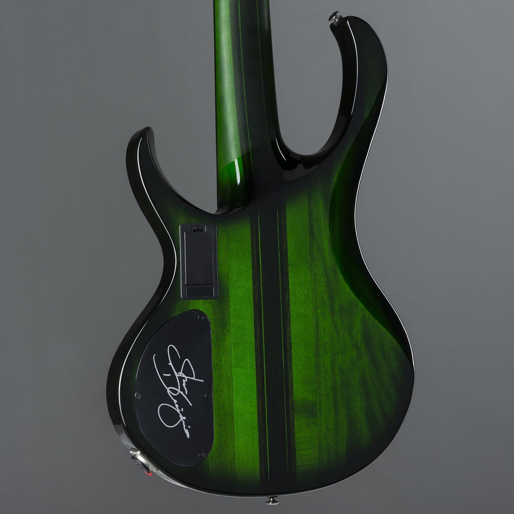 Ibanez Steve Di Giorgio SDGB1 Signature 5-string Fretless Bass Guitar - Dark Moss Burst