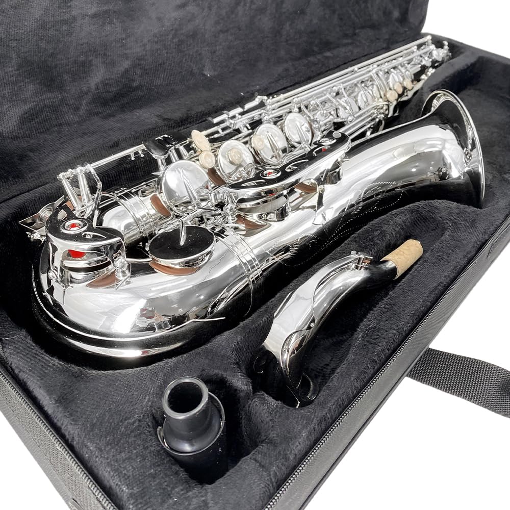 Beginner Alto Saxophone, E Flat - Complete Starter Kit with Case & 10 Reeds, for Adults & Students, Easy to Play for School Band & Practice(Gold)