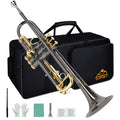 EASTROCK Bb Trumpet Standard Trumpet Set with Carrying Case,Gloves, 7C Mouthpiece, Tuning Rod, Black Nickel,Hand Carved Craft