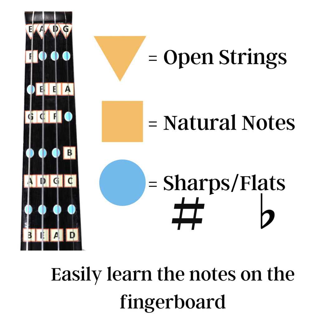 Fantastic Finger Guide for Violins Adult Beginner | Stringed Musical Instruments | Fingerboard and Fretboard Stickers for Learning All Notes | Play or Fiddle, 4/4-Size