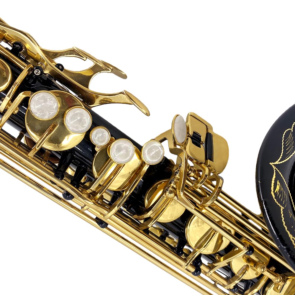 Beginner Alto Saxophone, E Flat - Complete Starter Kit with Case & 10 Reeds, for Adults & Students, Easy to Play for School Band & Practice(Gold)