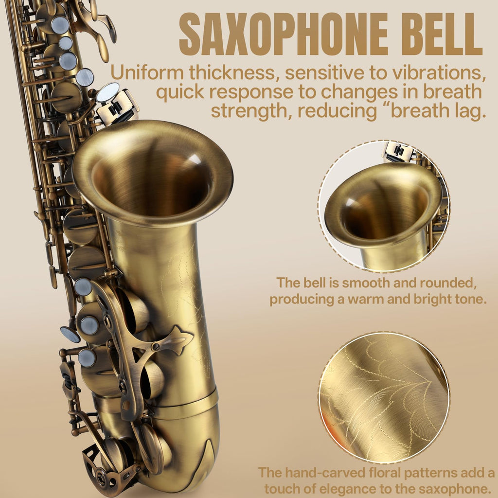 Kmise E Flat Alto Saxophone, Lightweight Saxophones for Students Beginner, Saxofon Full Kit with Portable Case, Sax Stand, Strap, Reeds, Beginner's Guides, Mute, Cleaning Kit (Gold Lacquer)