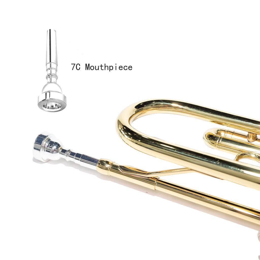LeSage Bb Standard Trumpet Set for Beginner, Brass Student Trumpet with Carrying Case, Care Kit, Valve Oil, Cloth, 7C Mouthpiece & Gloves Silver