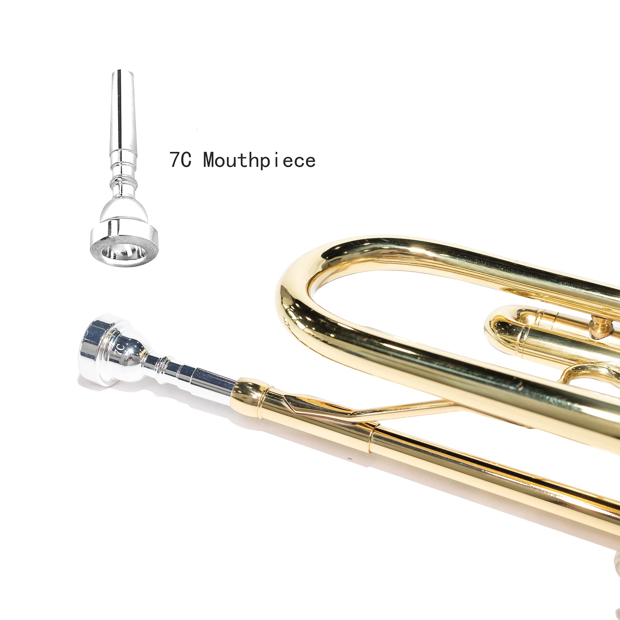 LeSage Bb Standard Trumpet Set for Beginner, Brass Student Trumpet with Carrying Case, Care Kit, Valve Oil, Cloth, 7C Mouthpiece & Gloves Silver