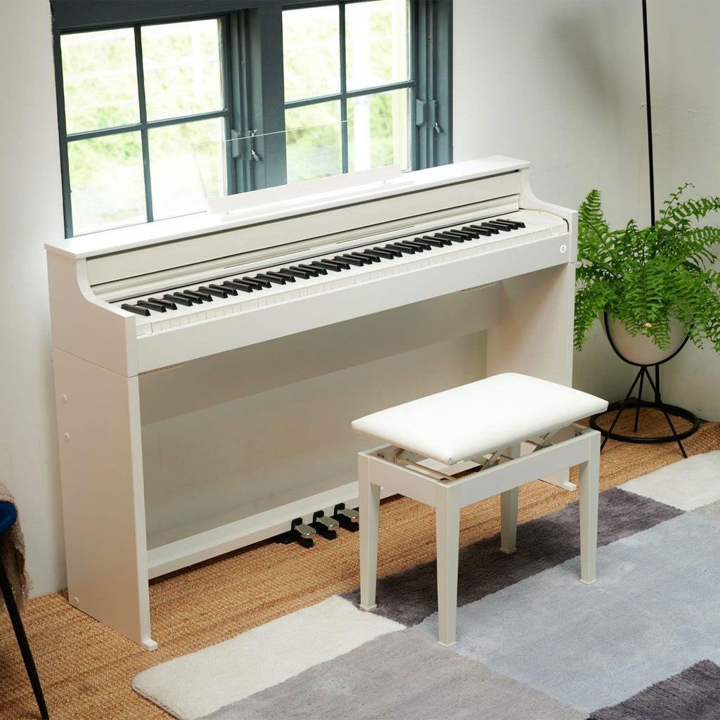 Casio AP-S200 CELVIANO 88-Key Digital Piano - Black Bundle with Furniture Bench, Headphones, Instructional Book, Austin Bazaar Instructional DVD, and Polishing Cloth