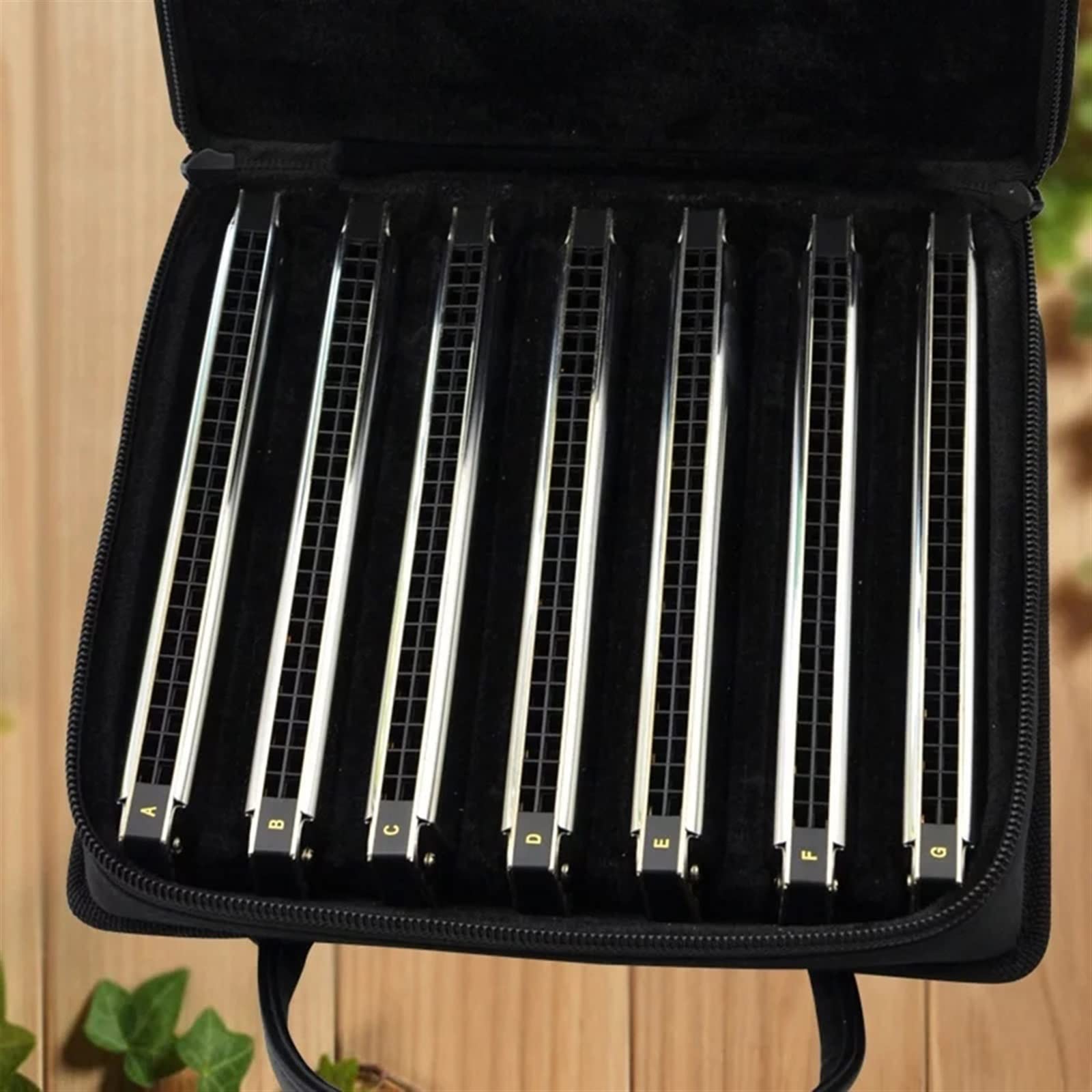 Tremolo 24 Holes Harmonica Professional Mouth Organ harp Instrumentos Key C ABS Comb Musical Instruments (Color : Silver Color 12pcs)