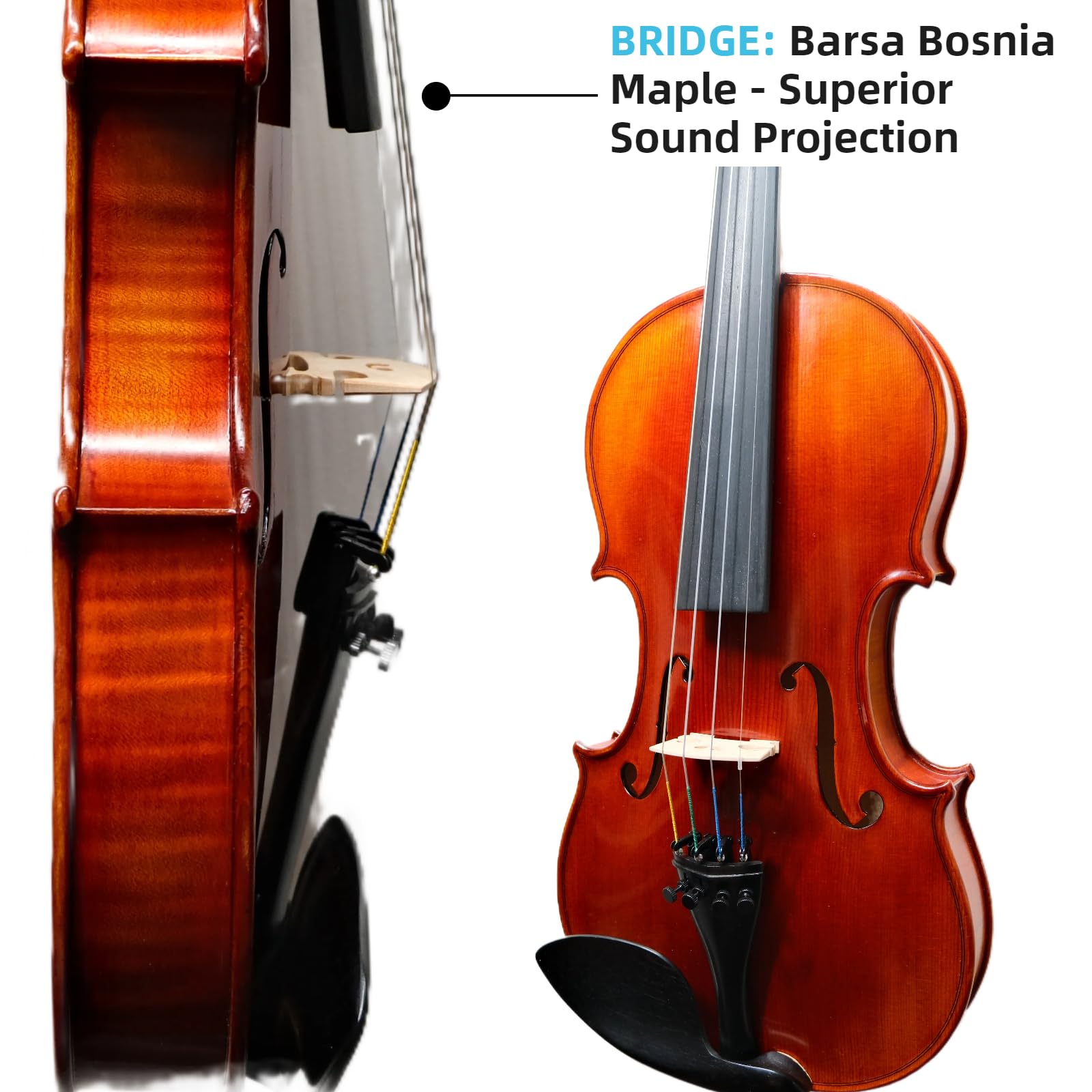 Master 4/4 Full-Size Violin | Hand-Varnished with 20+ Year Aged Italian Spruce & Bosnian Maple | Professional Orchestra Instrument for Professional soloists and session players (VIO1328)