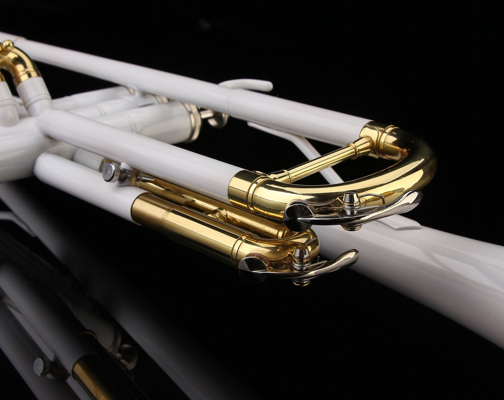Glory Bb Trumpet - Trumpets for Beginner or Advanced Student with Case, pair of gloves-Gold