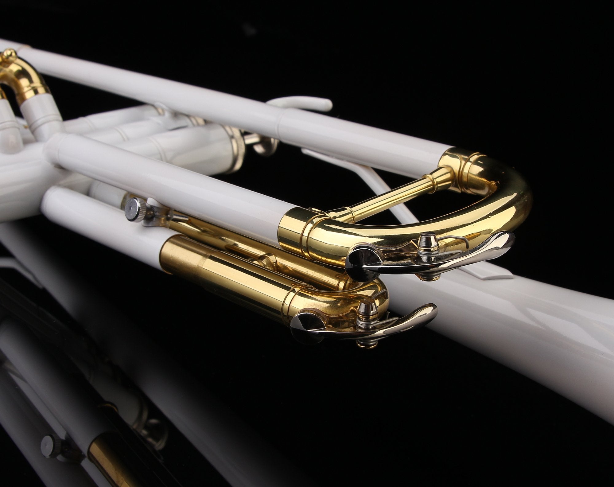 Glory Bb Trumpet - Trumpets for Beginner or Advanced Student with Case, pair of gloves-Gold