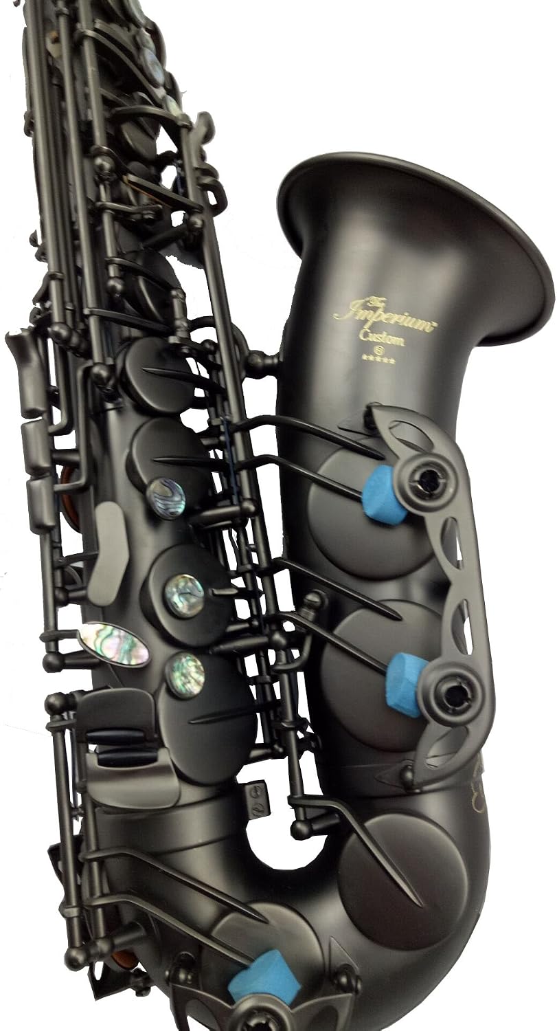 Eastern Music matt black Alto Saxophone with dragon engravings abalone key buttons