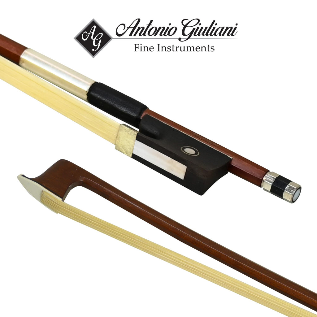 Bunnel Premier Violin Clearance Outfit 4/4 Full Size - Carrying Case and Accessories Included - Solid Maple Wood and Ebony Fittings By Kennedy Violins