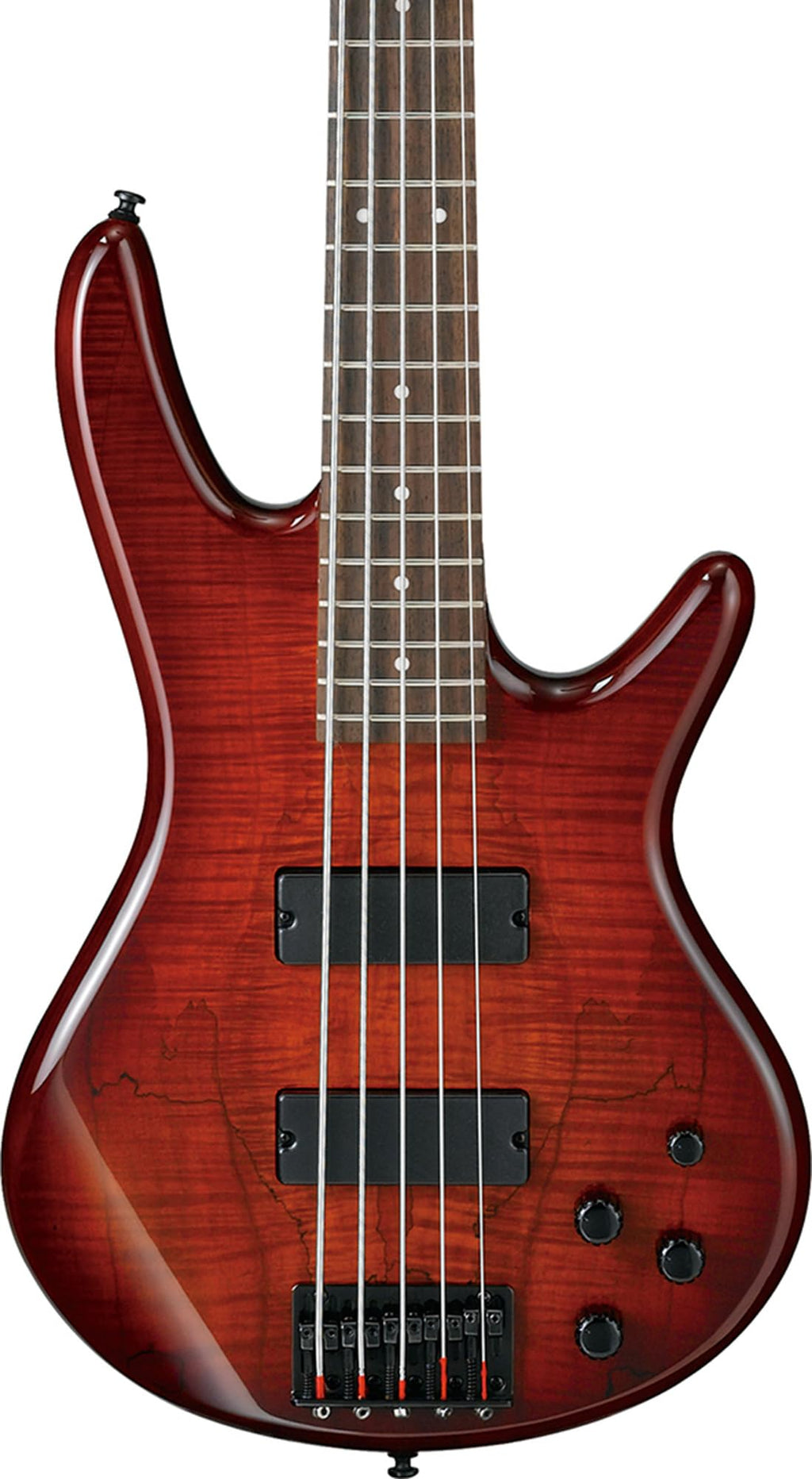 Ibanez GSR205B SR Gio 5-String Bass Guitar - Walnut Flat Bundle with Gig Bag, Tuner, Strap, Cable, Austin Bazaar Instructional DVD, and Polishing Cloth
