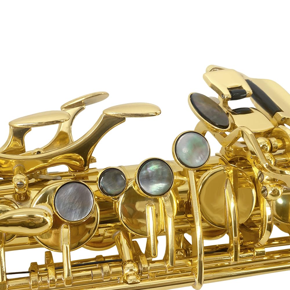 Beginner Alto Saxophone, E Flat - Complete Starter Kit with Case & 10 Reeds, for Adults & Students, Easy to Play for School Band & Practice(Gold)
