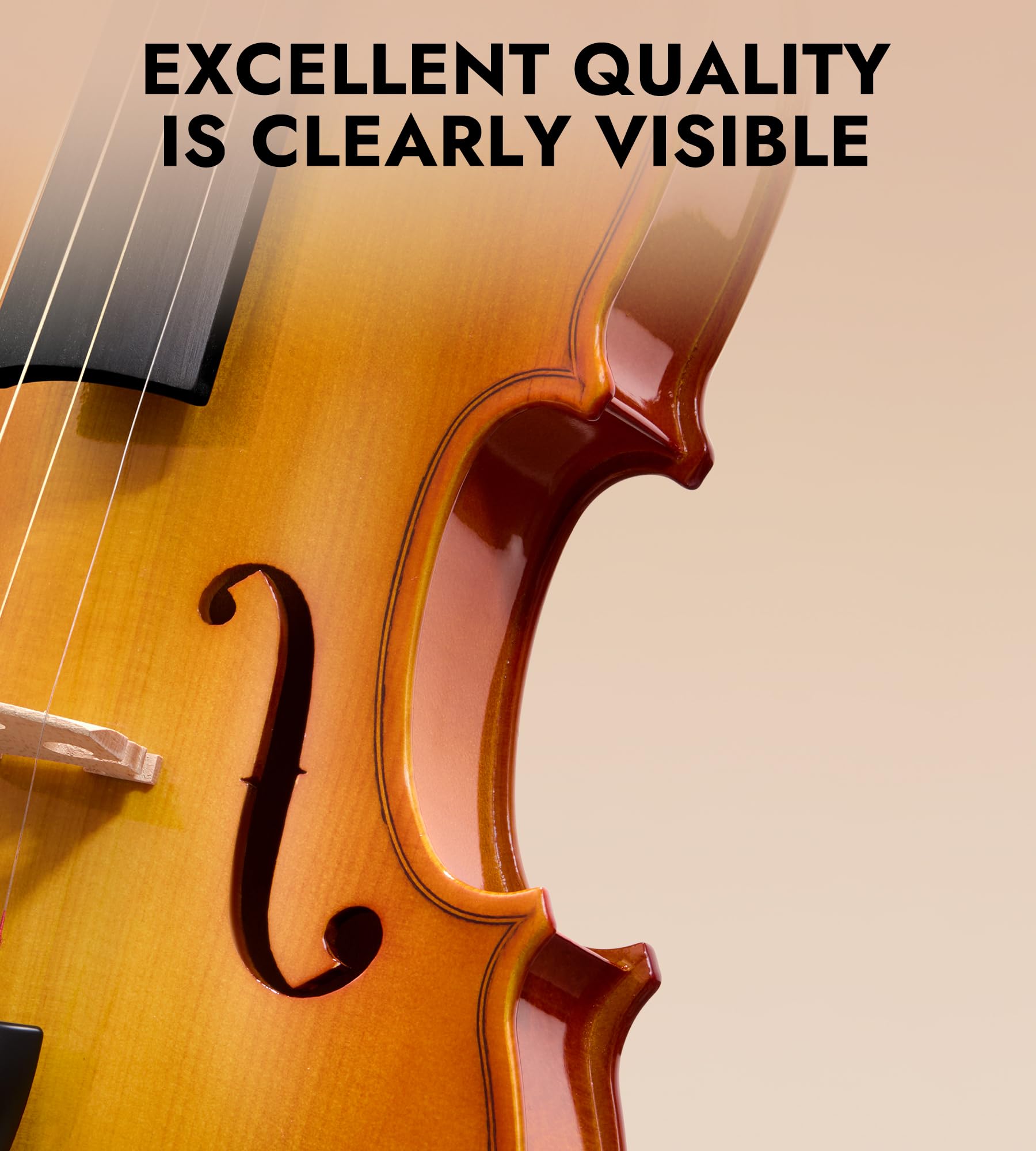 Tostar Acoustic Violin Full Size 4/4 Violin Set Starter Kit with Carrying Case, Violin Bow, Bridge, Rosin, Shoulder Rest, Stickers, Instruction Extra Strings for Beginner Retro Matte