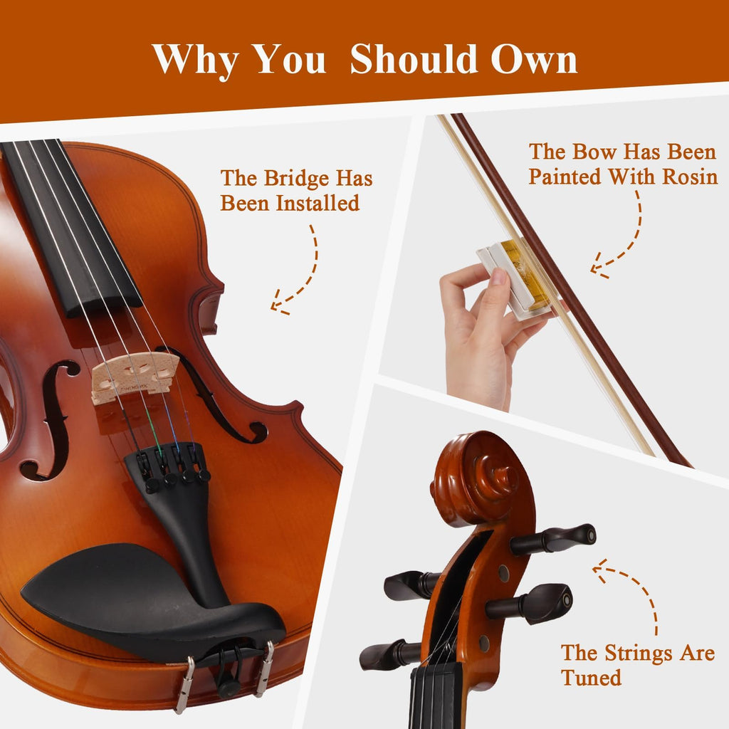 PHOENIX Violin 4/4 Full Size Kit, Violin Fiddle Set for Beginner Adults with Rosewood Bow Extra Strings & Bridge (Entry-level, Full)