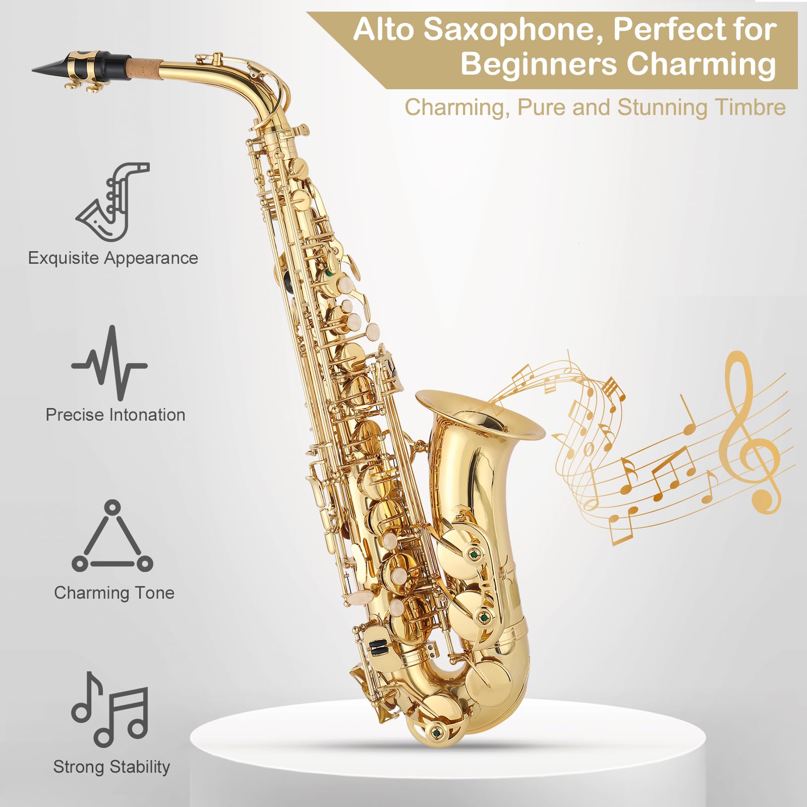 E Flat Alto Saxophone, Brass Alto Saxophones Instrument with Carry Case, Mouthpiece, Cleaning Brush & Cloth, Strap Accessories For Beginner Professional