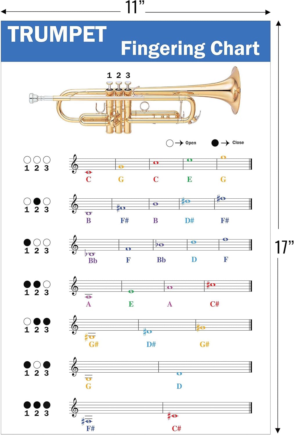 QMG Trumpet Fingering Chart with Color-Coded Notes, Learn Trumpet Technique Suitable for All Levels, Made in the USA